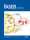 FASEB JOURNAL雜志封面